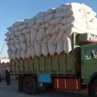 1کاه گندم تازه 1