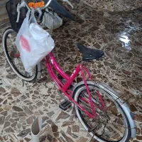 دوچرخه ۲۴ اصل کره|دوچرخه، اسکیت، اسکوتر|آستانه اشرفیه, |دیوار