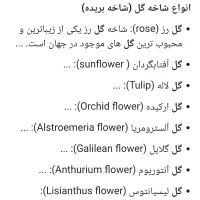 انواع گل رز، لاله، ارکیده، گل ترحیم، سبد گل و|گل و گیاه طبیعی|تهران, شهرک غرب|دیوار