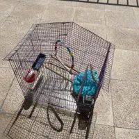 قفس پرنده