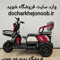 موتور سه چرخ برقی بزرگسال ، سه چرخه برقی WINNER|موتورسیکلت|شیراز, فرگاز|دیوار
