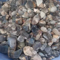 دم باله شجر