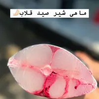 ماهی میگو ماهی شناس نیستی پس نگو گرون