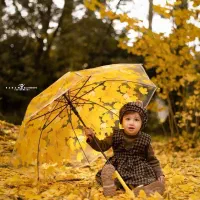 آتلیه آنلاین|خدمات پذیرایی، مراسم|گنبد کاووس, |دیوار