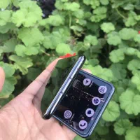 Motorola RAZR 40 Ultra|موبایل|تهران, طرشت|دیوار