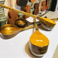 سه تار حرفه ای /آموزش ۱۰ جلسه