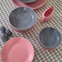 ظروف پذیرایی