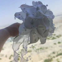 دسته گل عروس گلساره