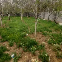 620مترباغچه-چهاردیواری-دردماوندجابان