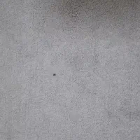 موکت|موکت|تهران, صاحب الزمان|دیوار