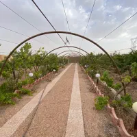 فروش-باغ-1600-متری-نجف-اباد