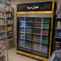یخچال ایستاده تاج دار / تهران سرما
