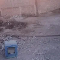شاخه تراهن۱۴ در حد نو