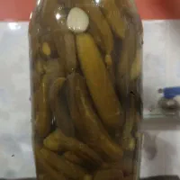 خیار شور ترد و خوشمزه