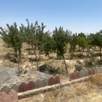 1000متری-باغ-احتشامیه-مهردشت-گاوخانه