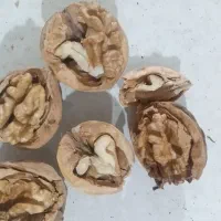 گردو مغز سفید پر چرب کوهستان گری دو و چهارصد|خوردنی و آشامیدنی|بردسیر, |دیوار