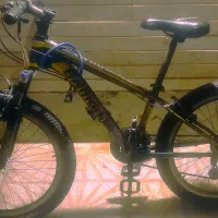 دوچرخه برلیانس سند دار ۲۴