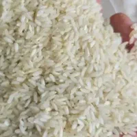 برنج عنبربو