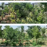 325متر-باغ-ویلا-سند-قطعی-هومند-وادان-خ-مریم