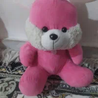 خرس قرمز 100|اسباب‌‌بازی|قم, نیروگاه|دیوار