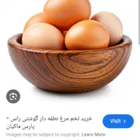 تخم مرغ