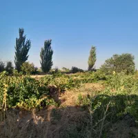تاکستان ۳۲۰۰ متری