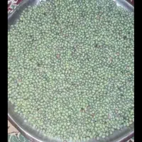 خرید و فروش کهره بره...|حیوانات مزرعه|یاسوج, |دیوار