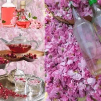 فروش انجیر خوب انار دونه مشکی و گلاب