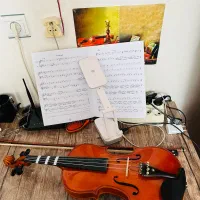 ویالون سلاریوس ۴/۴ همراه با کیس و آرشه هشت بر