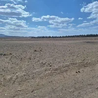 فروش زمین مناسب باغ ویلا و کارگاه|فروش دفتر صنعتی، کشاورزی، تجاری|بیرجند, |دیوار