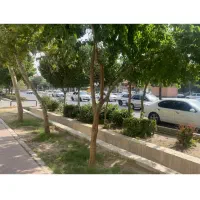 مغازه-تجاری-بر-اصلی-کاوه-مترو-چمران