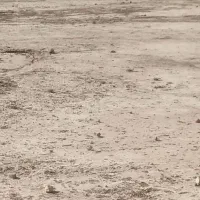 زمین منابع طبیعی روبروی پلیس راه سمنان