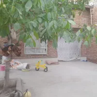 فروش واجاره فوری خانه