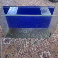 اکواریوم|ماهی|قرچک, مهدیه|دیوار