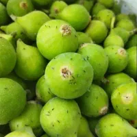 خریدار انجیر گردافشان بر