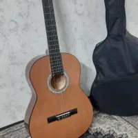 گیتار در حد