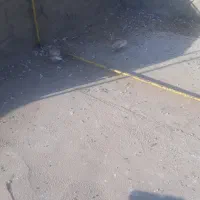 زرد اصفهانی