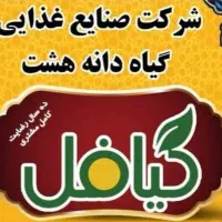 پخش فلافل اماده برند شرکتی