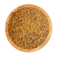 بذر بادمجان چاه بلندی