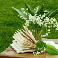 کتاب دعا و پاسخگویی احکام شرعی