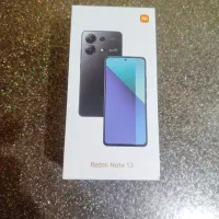 گوش شیامی نوت 13