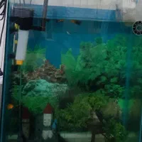 فروش آکواریوم  فیلتر تصفیه دکور قلعه ودرختچه
