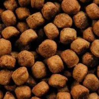 فروش دو کیسه خوراک ماهی  درجه یک