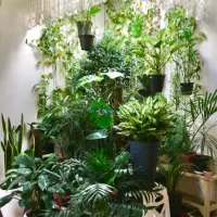 راهنمای