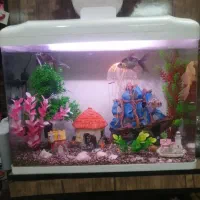 آکواریوم با وسایل و تجهیزات و ماهی