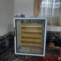 فروش دستگاه جوجه کشی|سایر لوازم برقی|بابل, |دیوار