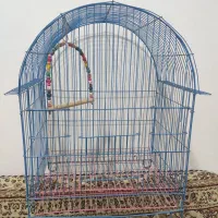 قفس بزرگ طوطی|لوازم جانبی حیوانات|سنندج, |دیوار