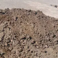 کودحیوانی...