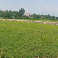 زمین مسکونی|فروش زمین و ملک کلنگی|رشت, لاکان شهر|دیوار