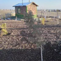 زمین-خانه-باغ-کورانه-فروش-یا-معاوضه-با-خودرو-فوری